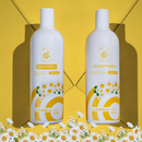 KIT DE MANZANILLA LC012: Champú + Tratamiento - QuieroMás Magazine