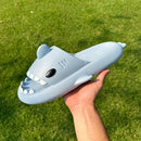 Sharklas® - QuieroMás Magazine