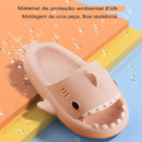 Chanclas de tiburón ( Nuevo en Colombia ) - QuieroMás Magazine