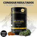 SHILAJIT™ gold 55% DE DESCUENTO SOLO HOY - 🔥ULTIMAS UNIDADES